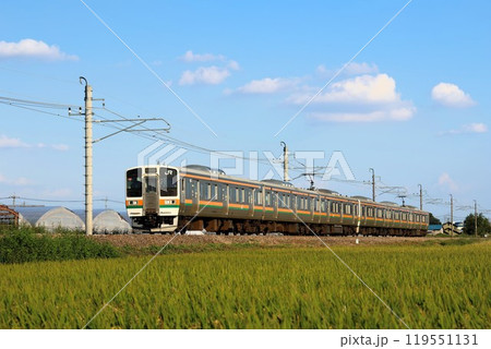 【JR東日本】211系3000番台と田園風景（両毛線：伊勢崎〜駒形） 119551131