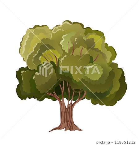 Realistic green tree. Isolated icon on white background. Spring tree for your design. Vector symbol sign. Plants, landscape design. Eco idea concept Realistic green tree. Isolated icon on white background. Spring tree for your design. Vector symbol sign. Plants, landscape design. Eco idea concept 119551212