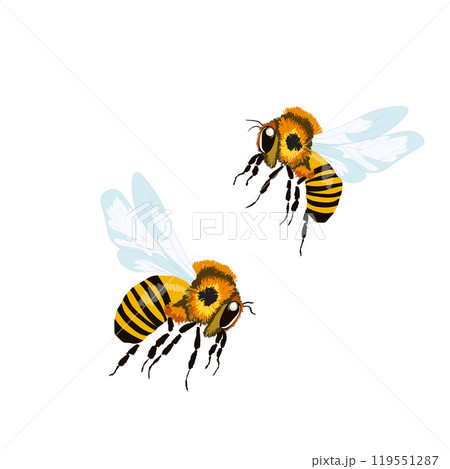 Cartoon bee mascot. A small bees flies. Wasp collection. Vector characters. Incest icon. Template design for invitation, cards. Doodle style 119551287