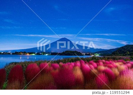 【山梨県】月夜の河口湖大石公園 紅葉したコキアと富士山 夜明け前 【山梨県】月夜の河口湖大石公園 紅葉したコキアと富士山 夜明け前 119551294