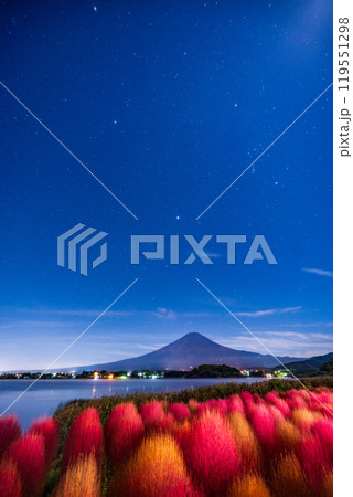 【山梨県】月夜の河口湖大石公園　紅葉したコキアと富士山　夜明け前 119551298