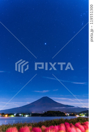 【山梨県】月夜の河口湖大石公園　紅葉したコキアと富士山　夜明け前 119551300