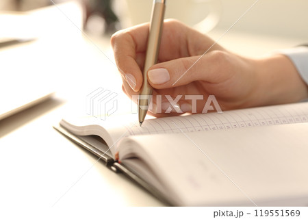 Executive woman hands writing appointment on agenda 119551569