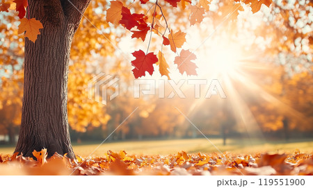 Sunny autumn park in colourful autumn colors, vast green meadow with red and golden trees against clear blue sky and the setting sun. AI-generated item Sunny autumn park in colourful autumn colors, vast green meadow with red and golden trees against clear blue sky and the setting sun. AI-generated item 119551900