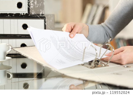 Woman hands organizing putting files on folder Woman hands organizing putting files on folder 119552024