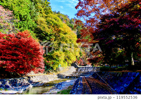【岐阜】秋の下呂温泉　紅葉が鮮やかな雨情公園 119552536