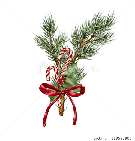 Christmas sugar cane and holly with red bow ribbon on spruce branch Watercolor composition on white. Hand drawn illustration for New Year and winter holidays designs in realistic style. 119552909