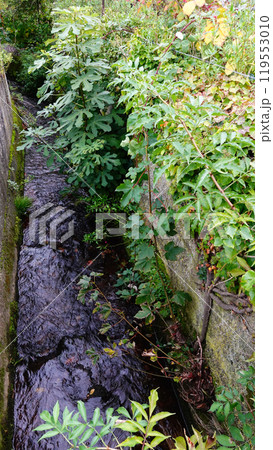 Serene Waterway Surrounded by Lush Greenery in a Tranquil Natural Setting Serene Waterway Surrounded by Lush Greenery in a Tranquil Natural Setting 119553010