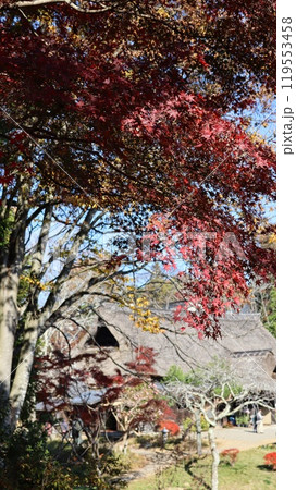 紅葉に包まれる古民家 春風萬里荘 紅葉に包まれる古民家 春風萬里荘 119553458