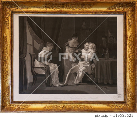 An engraved vintage illustration image of Napoleon Bonaparte with family now exhibited in the Villa dei Mulini in Portoferraio, Italy 119553523