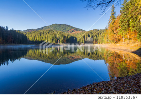 autumn landscape with lake in morning light. sunny weather. beautiful travel destination of europe in carpathian mountains of ukraine autumn landscape with lake in morning light. sunny weather. beautiful travel destination of europe in carpathian mountains of ukraine 119553567