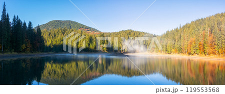 autumn landscape with lake in morning light. fog above water surface. beautiful scenery among coniferous forest in carpathian mountains of ukraine 119553568