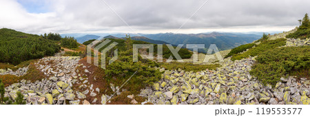 panorama of landscape with stones on alpine hillside. mountainous carpathian landscape of ukraine in autumn on a cloudy day 119553577