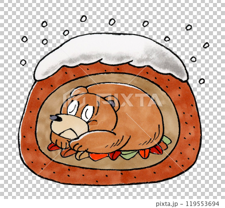 brown bear hibernating brown bear hibernating 119553694