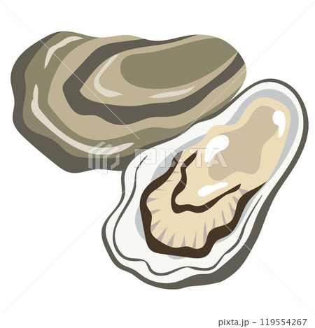 牡蠣 海産物 生牡蠣 牡蠣 海産物 生牡蠣 119554267
