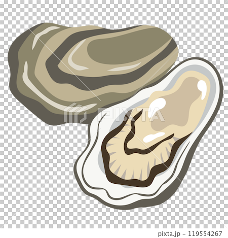 Oysters Seafood Raw Oysters 119554267