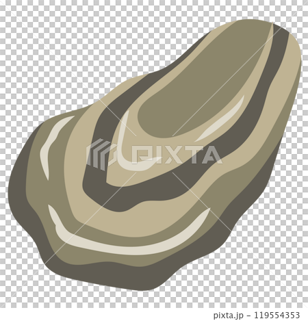 Oysters Seafood Raw Oysters 119554353