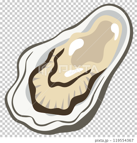 Oysters Seafood Raw Oysters 119554367