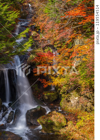 秋の日光・竜頭の滝 119554514