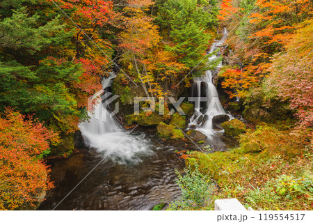 秋の日光・竜頭の滝 119554517