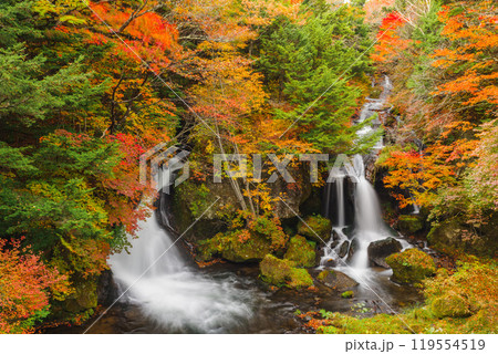 秋の日光・竜頭の滝 秋の日光・竜頭の滝 119554519
