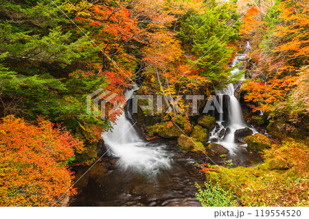 秋の日光・竜頭の滝 119554520