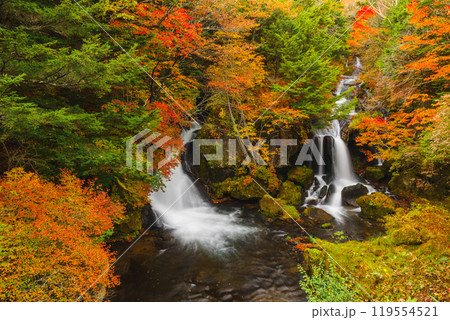 秋の日光・竜頭の滝 秋の日光・竜頭の滝 119554521