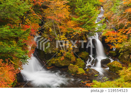 秋の日光・竜頭の滝 119554523