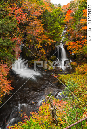 秋の日光・竜頭の滝 119554530