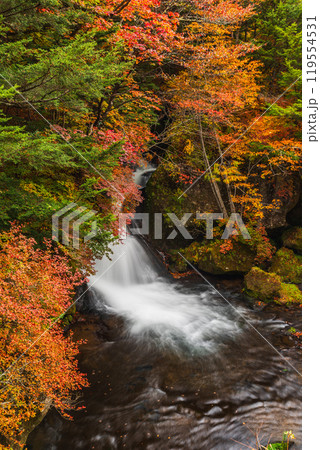秋の日光・竜頭の滝 119554531