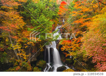 秋の日光・竜頭の滝 秋の日光・竜頭の滝 119554539