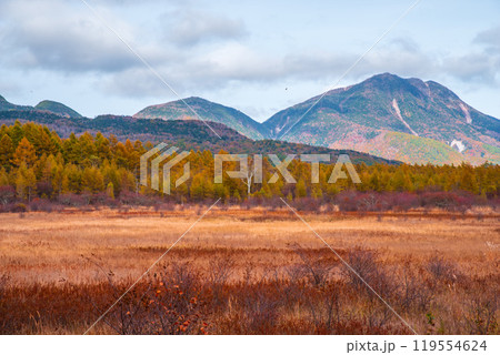 秋の奥日光・小田代原 秋の奥日光・小田代原 119554624