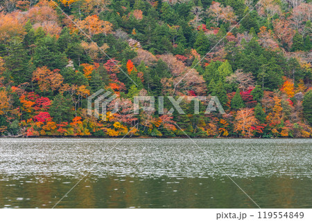 秋の湯ノ湖 119554849