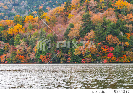 秋の湯ノ湖 119554857