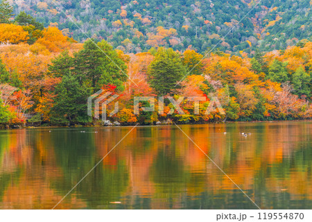 秋の湯ノ湖 119554870