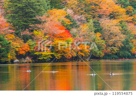 秋の湯ノ湖 119554875