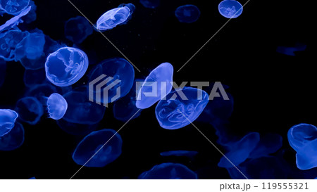 3d rendering of falling gold water falling 119555321