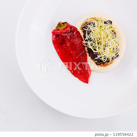 Gourmet dish with sprouts sitting on white plate 119556422