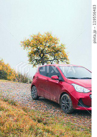 Red car on gravel road in mountains on foggy day. Autumn travel by car. Hatchback car in mud in mountains with clouds. Rural journey in Carpathian mountains. Dirty car on dirty road on fall landscape Red car on gravel road in mountains on foggy day. Autumn travel by car. Hatchback car in mud in mountains with clouds. Rural journey in Carpathian mountains. Dirty car on dirty road on fall landscape 119556483