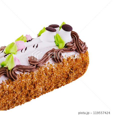 Delicious biscuit cake covered with chocolate and white cream decorated with green leaves Delicious biscuit cake covered with chocolate and white cream decorated with green leaves 119557424