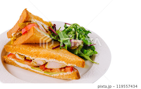 Grilled chicken sandwich with fresh salad on white plate 119557434