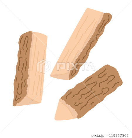 Firewood isolated on white illustration in cartoon flat style. Vector illustration 119557565