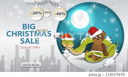 Banner special offer big Christmas sale A snake in a Santa hat wraps around a bear toy against the night sky 119557670