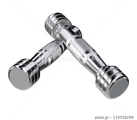 Two blank Round Dumbbells, chrome weightlifting gym equipment top view 119558299