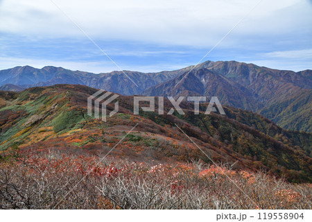 朝日連峰の紅葉 119558904
