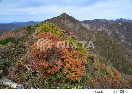 朝日連峰の紅葉 119558921