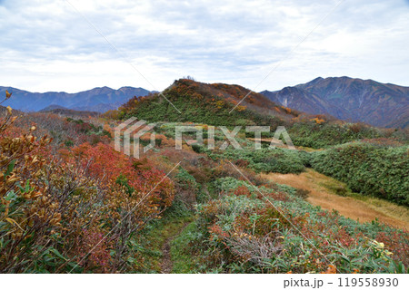 朝日連峰の紅葉 119558930