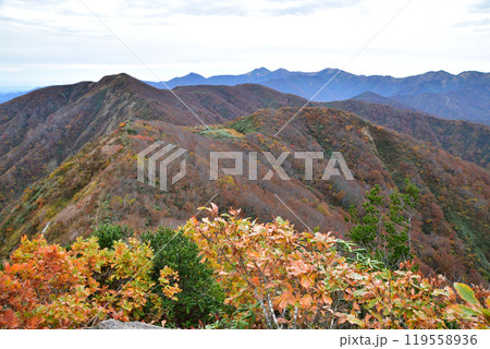 朝日連峰の紅葉 119558936