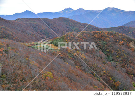 朝日連峰の紅葉 119558937