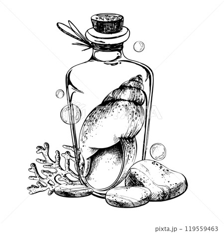 Seashell spiral corals inside glass bottle jar with cork sea pebbles and water bubbles. Hand drawn graphic illustration in black and white color line art. Sublimation arrangement on a marine theme Seashell spiral corals inside glass bottle jar with cork sea pebbles and water bubbles. Hand drawn graphic illustration in black and white color line art. Sublimation arrangement on a marine theme 119559463
